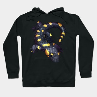 Cozy Fire Salamander Hoodie